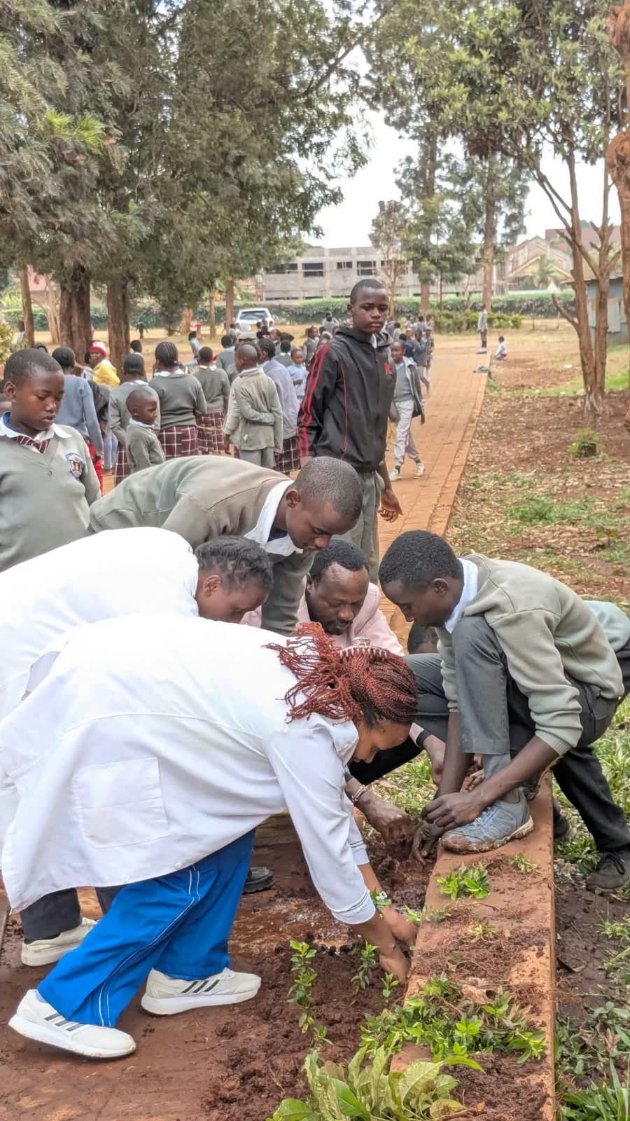 Grow a tree to your height, win a reward: School in Kiambu challenges pupils