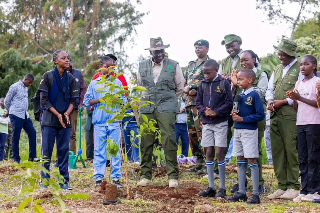MoE orders counties to account for trees planted during Mazingira Day