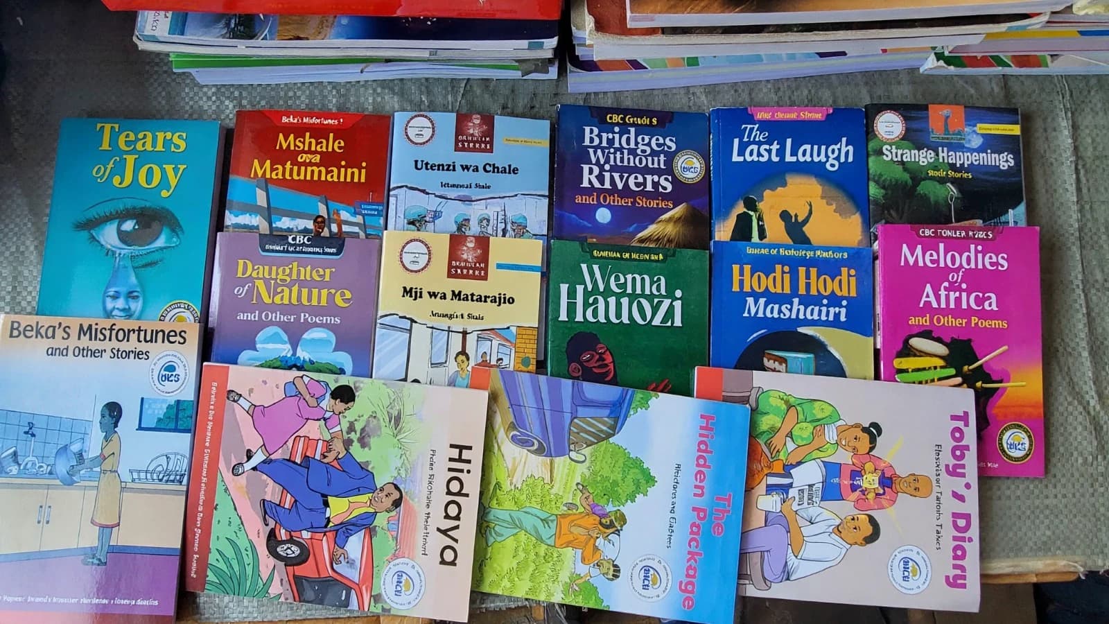 Publishing is not approval: A guide for authors targeting the Kenyan school market