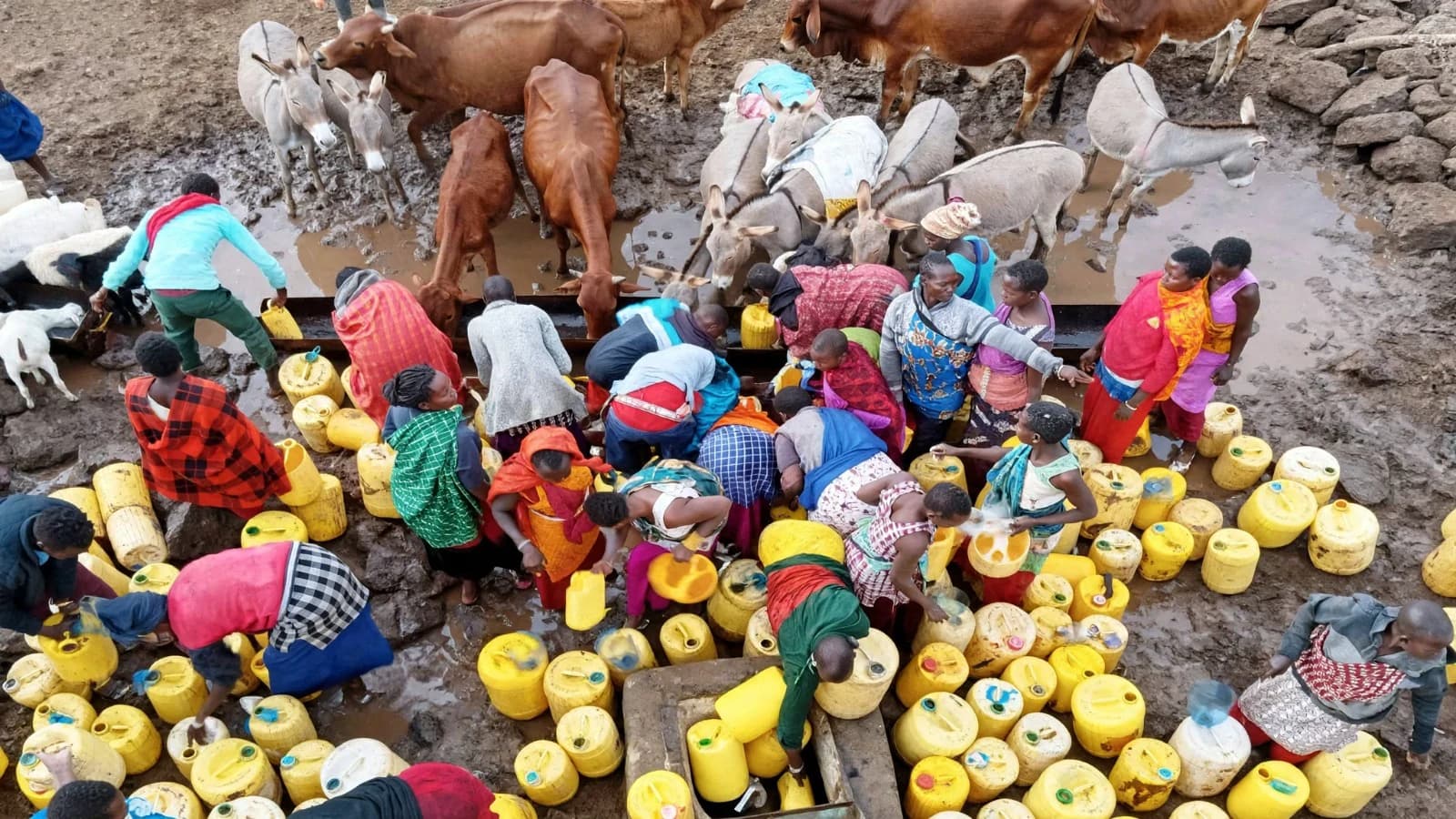 Water crisis threatens early school closure in Singiraine, Kajiado West