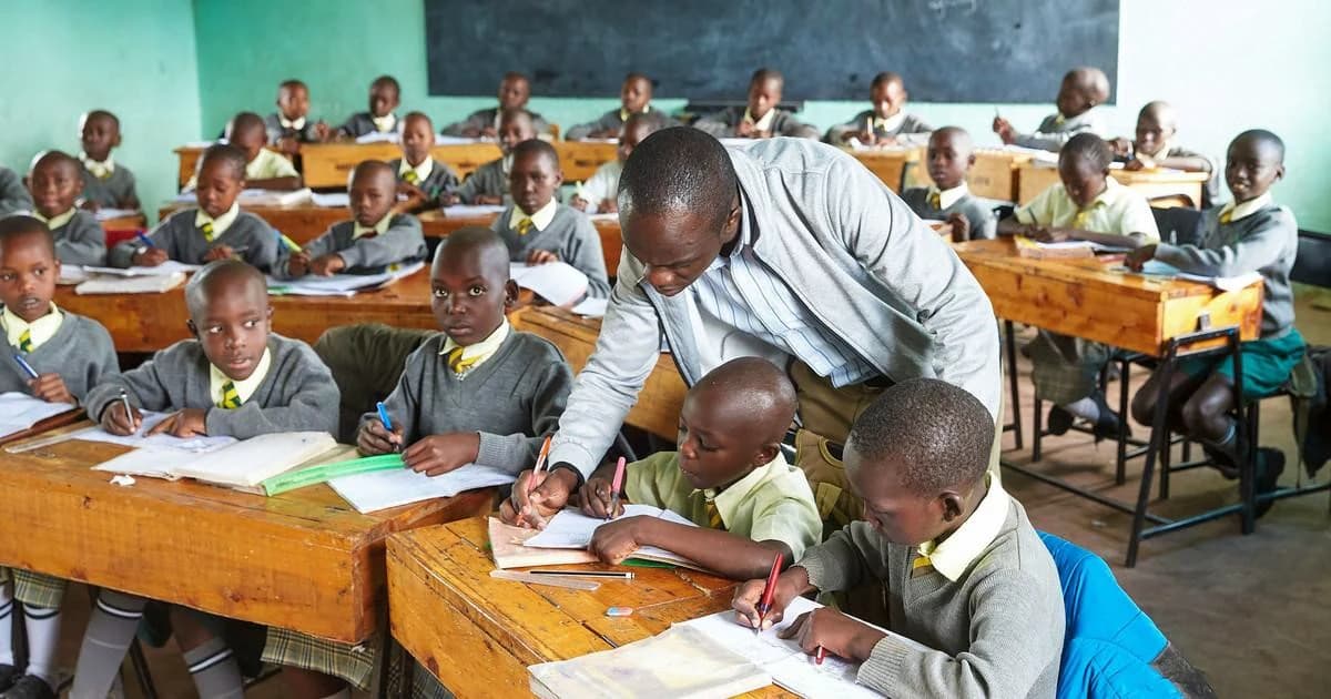 How JSS learning areas prepare learners for Senior School career pathways